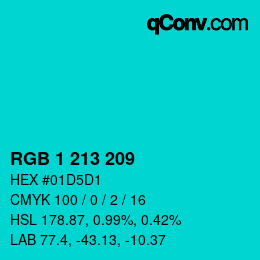 Color code: RGB 1 213 209 | qconv.com