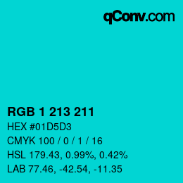 Color code: RGB 1 213 211 | qconv.com
