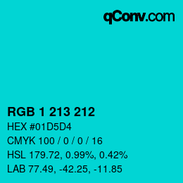 Color code: RGB 1 213 212 | qconv.com