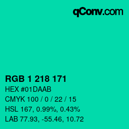 Color code: RGB 1 218 171 | qconv.com