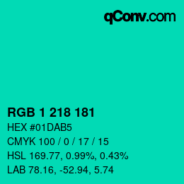 Color code: RGB 1 218 181 | qconv.com