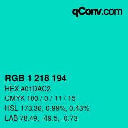 Color code: RGB 1 218 194 | qconv.com