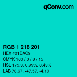 Color code: RGB 1 218 201 | qconv.com