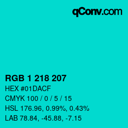 Color code: RGB 1 218 207 | qconv.com
