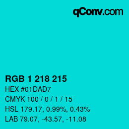 Color code: RGB 1 218 215 | qconv.com