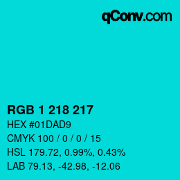Color code: RGB 1 218 217 | qconv.com