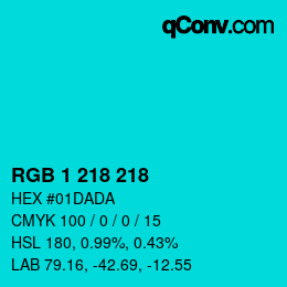 Color code: RGB 1 218 218 | qconv.com