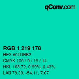 Color code: RGB 1 219 178 | qconv.com