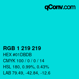 Color code: RGB 1 219 219 | qconv.com