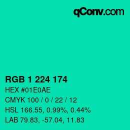 Color code: RGB 1 224 174 | qconv.com