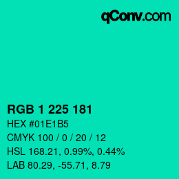 Color code: RGB 1 225 181 | qconv.com