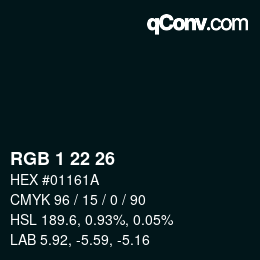 Color code: RGB 1 22 26 | qconv.com