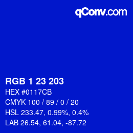 Color code: RGB 1 23 203 | qconv.com
