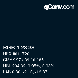 Color code: RGB 1 23 38 | qconv.com