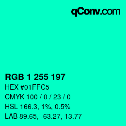 Color code: RGB 1 255 197 | qconv.com