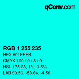Color code: RGB 1 255 235 | qconv.com