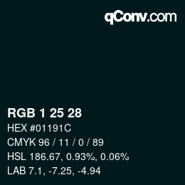 Color code: RGB 1 25 28 | qconv.com