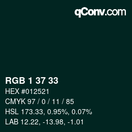 Color code: RGB 1 37 33 | qconv.com