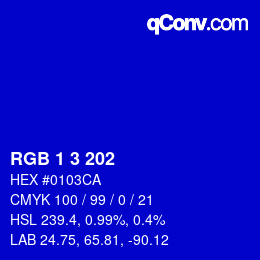 Color code: RGB 1 3 202 | qconv.com