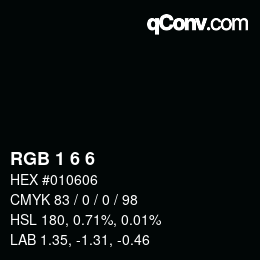 Color code: RGB 1 6 6 | qconv.com