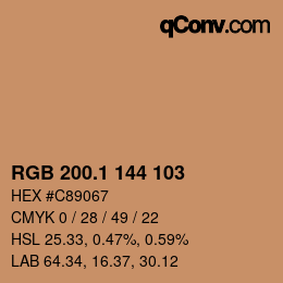 カラーコード: RGB 200.1 144 103 | qconv.com