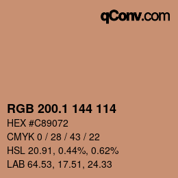 Color code: RGB 200.1 144 114 | qconv.com