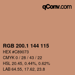 Color code: RGB 200.1 144 115 | qconv.com