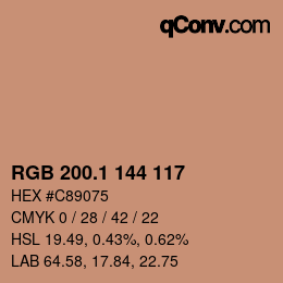 Color code: RGB 200.1 144 117 | qconv.com