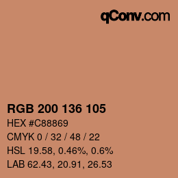 Color code: RGB 200 136 105 | qconv.com