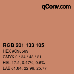 颜色代码: RGB 201 133 105 | qconv.com