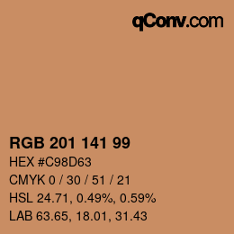 Color code: RGB 201 141 99 | qconv.com