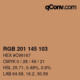 Color code: RGB 201 145 103 | qconv.com