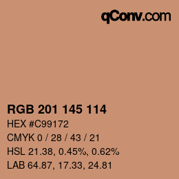 Color code: RGB 201 145 114 | qconv.com