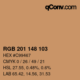 Color code: RGB 201 148 103 | qconv.com