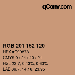 Color code: RGB 201 152 120 | qconv.com