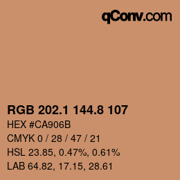 Color code: RGB 202.1 144.8 107 | qconv.com