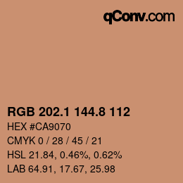 Color code: RGB 202.1 144.8 112 | qconv.com