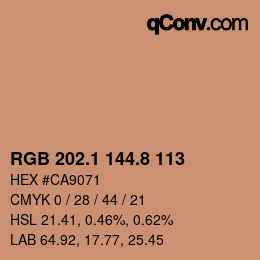 Color code: RGB 202.1 144.8 113 | qconv.com