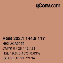 Color code: RGB 202.1 144.8 117 | qconv.com