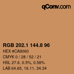 Farbcode: RGB 202.1 144.8 96 | qconv.com
