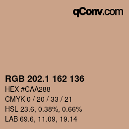 Color code: RGB 202.1 162 136 | qconv.com