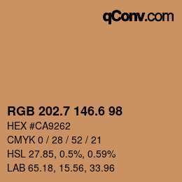 カラーコード: RGB 202.7 146.6 98 | qconv.com