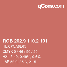 Color code: RGB 202.9 110.2 101 | qconv.com