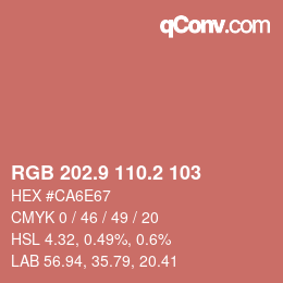 カラーコード: RGB 202.9 110.2 103 | qconv.com