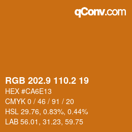 Color code: RGB 202.9 110.2 19 | qconv.com
