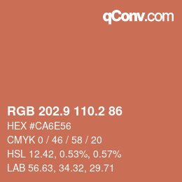 Color code: RGB 202.9 110.2 86 | qconv.com