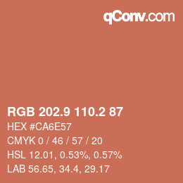 Color code: RGB 202.9 110.2 87 | qconv.com