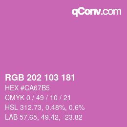 Color code: RGB 202 103 181 | qconv.com