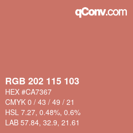 Color code: RGB 202 115 103 | qconv.com