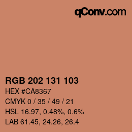 Color code: RGB 202 131 103 | qconv.com